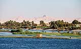 Life on the Nile March 2023